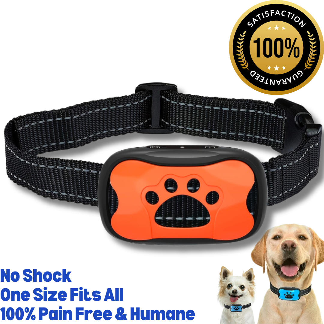 Silent Guard Anti-Bark Dog Collar