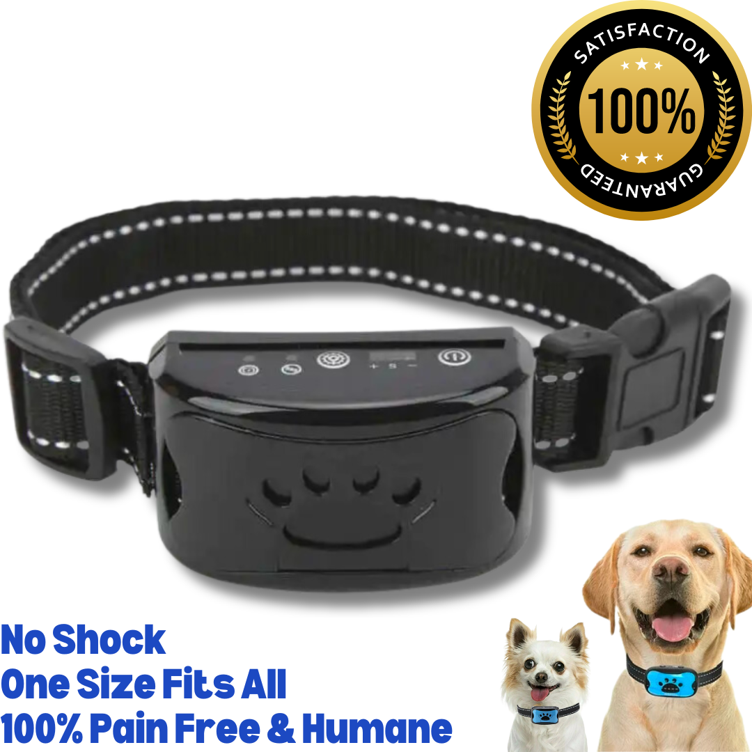 Silent Guard Anti-Bark Dog Collar