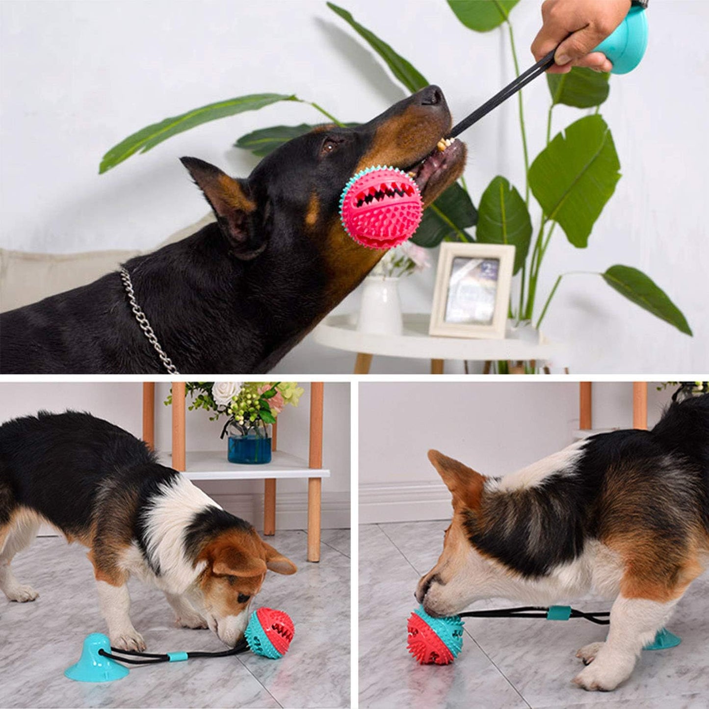 Interactive Silicone Suction Cup Dog Toy