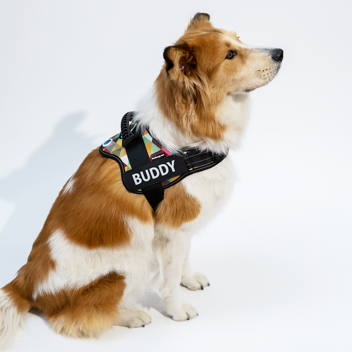 Personalized No Pull Dog Harness