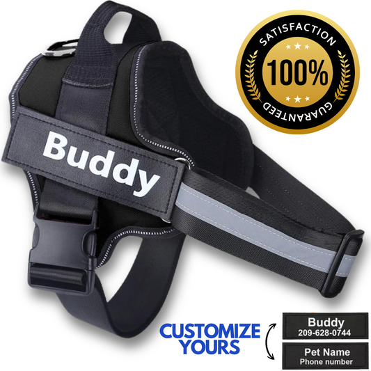 Personalized No Pull Dog Harness