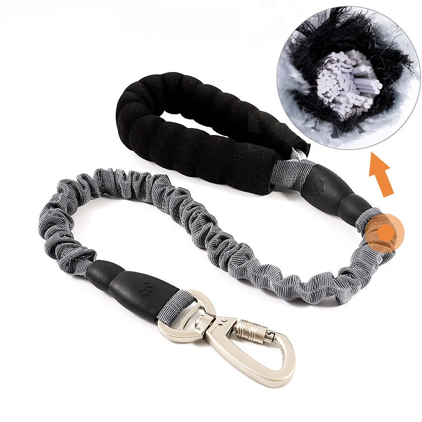 Reflective Bungee Dog Leash