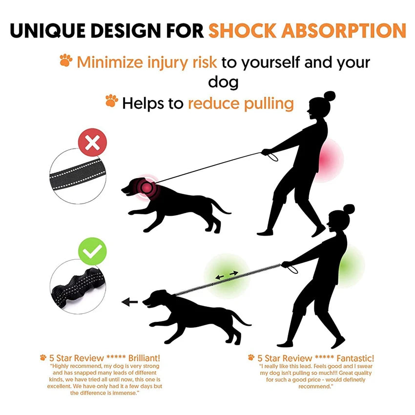 Reflective Bungee Dog Leash