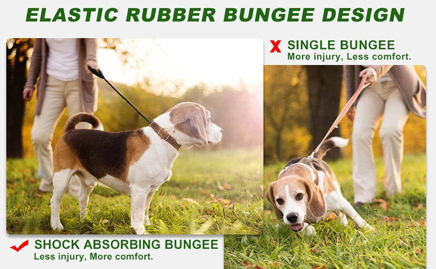 Reflective Bungee Dog Leash