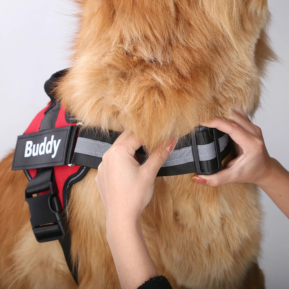 Personalized No Pull Dog Harness