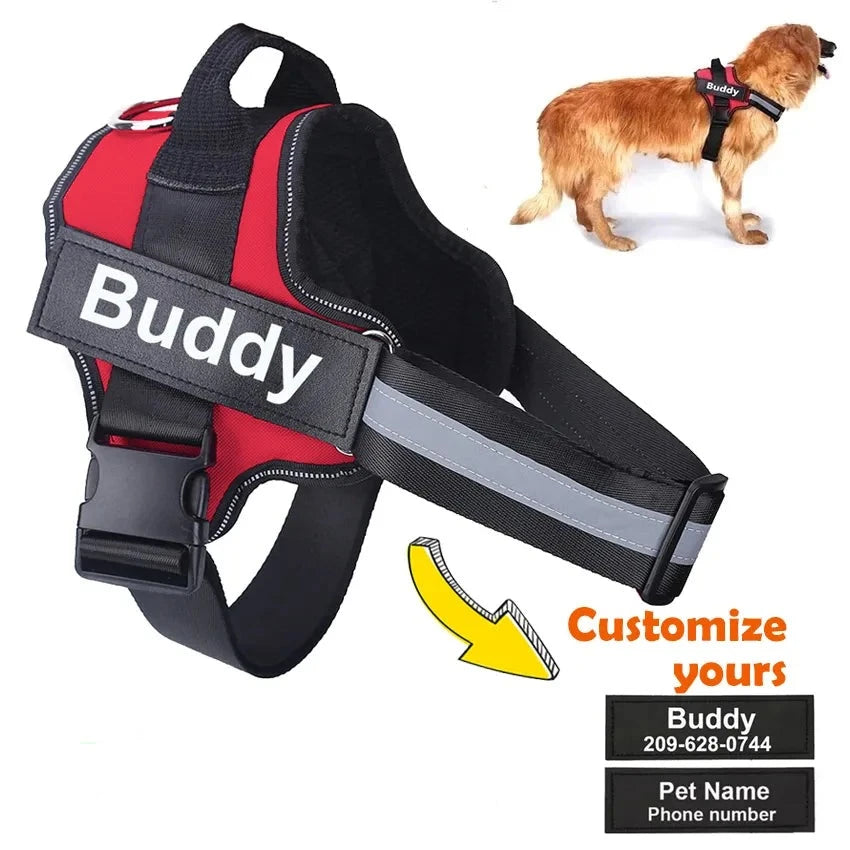 Personalized No Pull Dog Harness