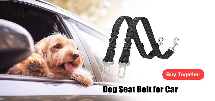 Personalized No Pull Dog Harness