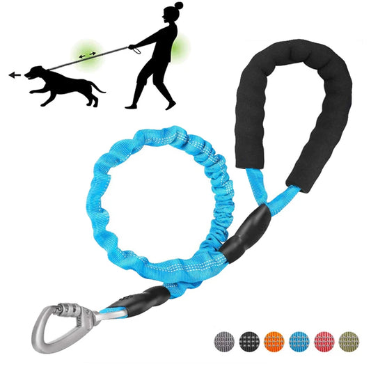 Reflective Bungee Dog Leash