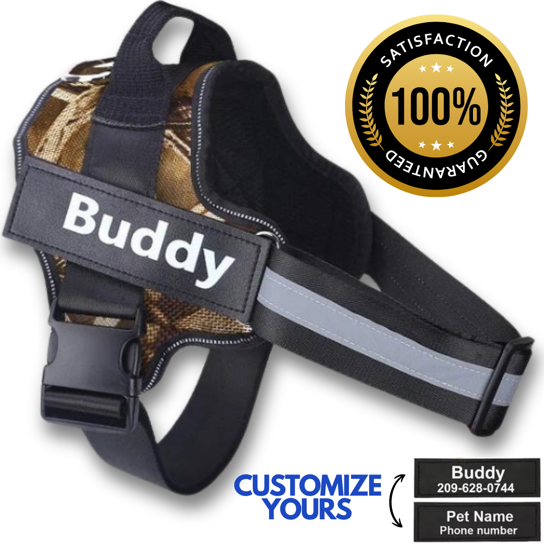 Personalized No Pull Dog Harness