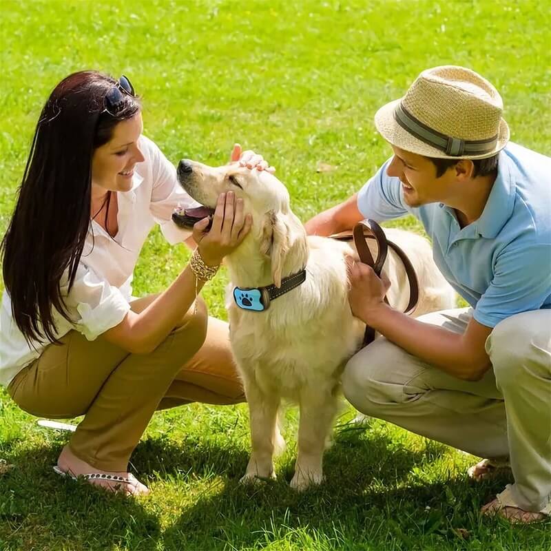 Silent Guard Anti-Bark Dog Collar