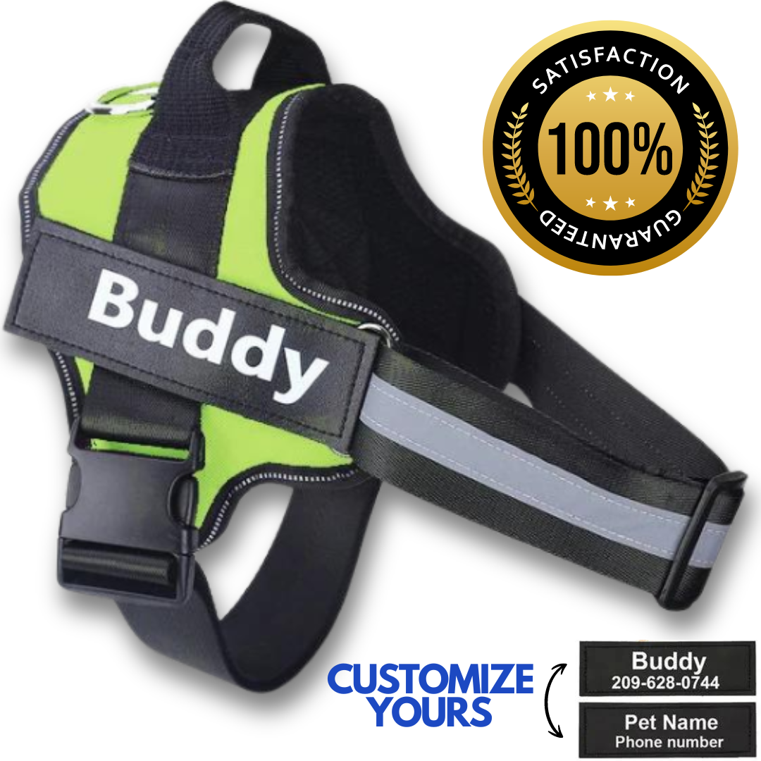 Personalized No Pull Dog Harness