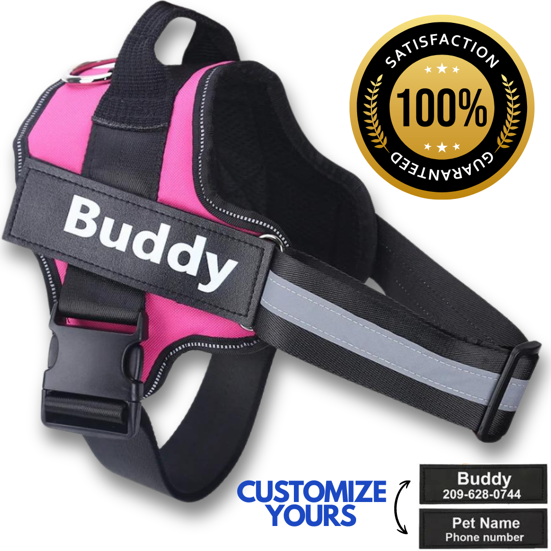 Personalized No Pull Dog Harness