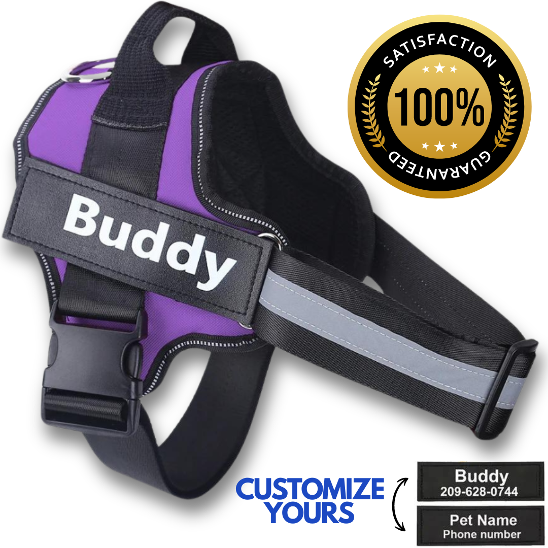 Personalized No Pull Dog Harness