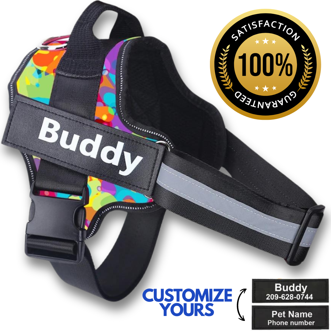 Personalized No Pull Dog Harness