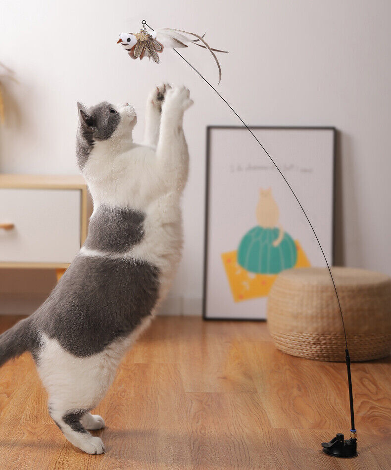 Interactive Bird Simulation Cat Teaser Toy