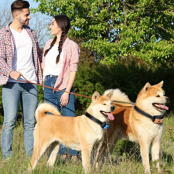 Silent Guard Anti-Bark Dog Collar