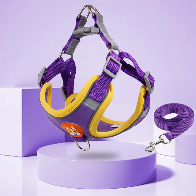 Ready Reflective Pet Harness And Leash Set