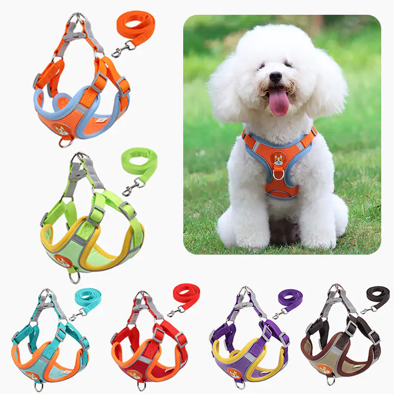 Ready Reflective Pet Harness And Leash Set