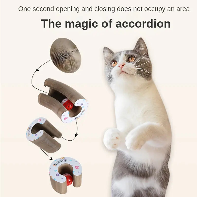 Accordion Magic Cat Scratch Board