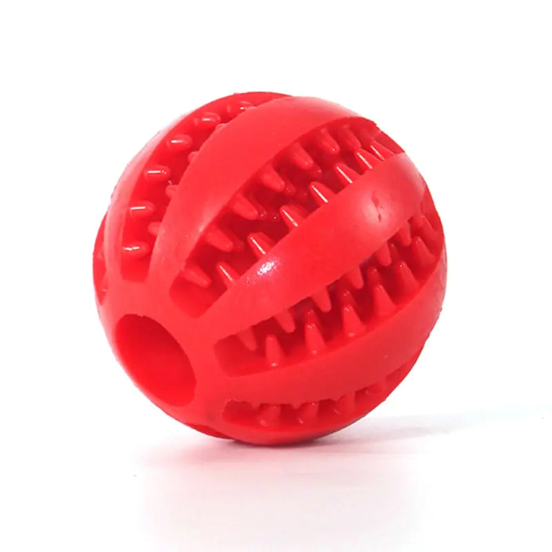 Chewy Interactive Rubber Pet Dog Toy