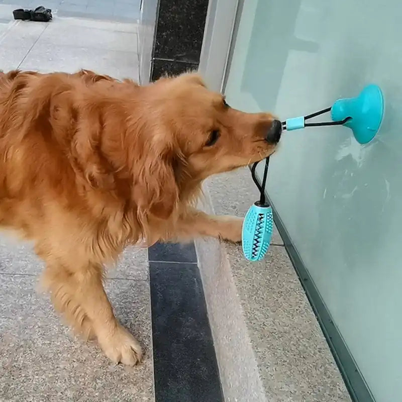 Interactive Silicone Suction Cup Dog Toy