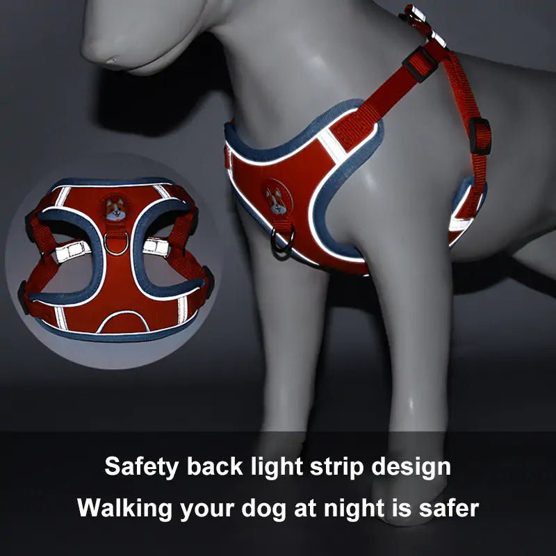 Ready Reflective Pet Harness And Leash Set