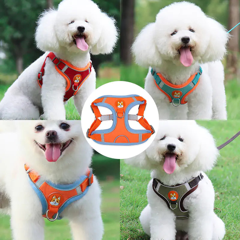 Ready Reflective Pet Harness And Leash Set