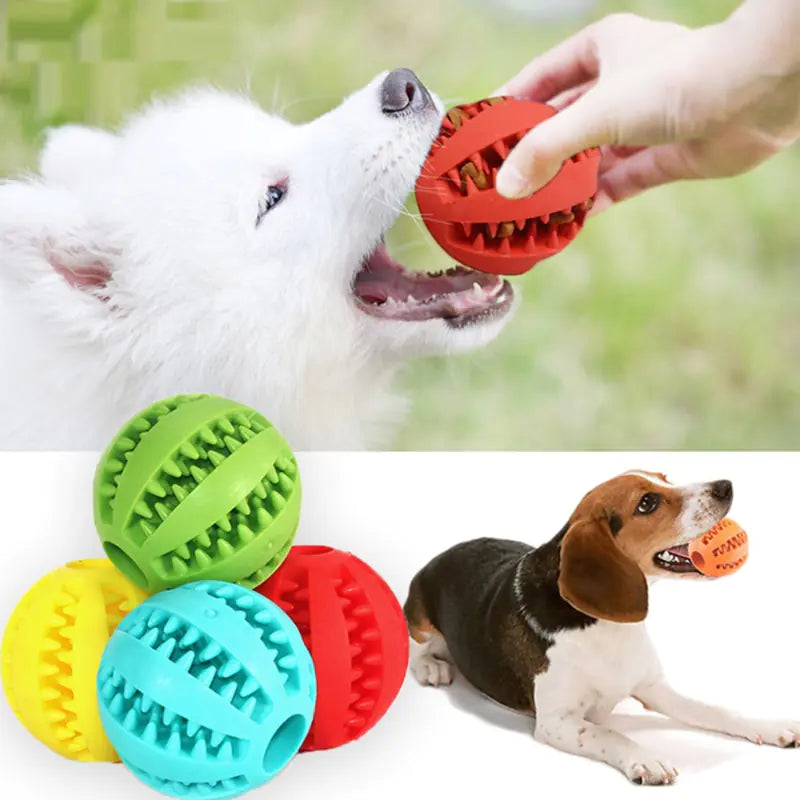 Chewy Interactive Rubber Pet Dog Toy