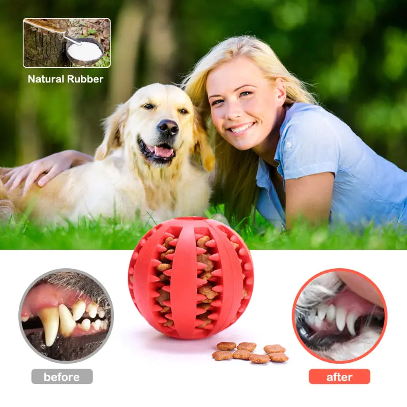 Chewy Interactive Rubber Pet Dog Toy