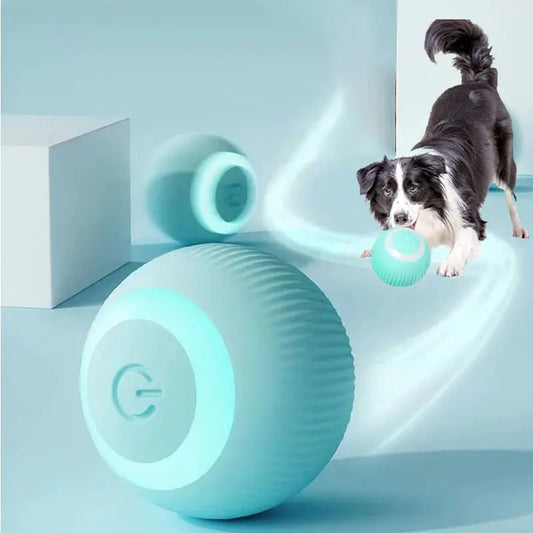 Rollo Auto Rolling Self-Moving Dog Toy`